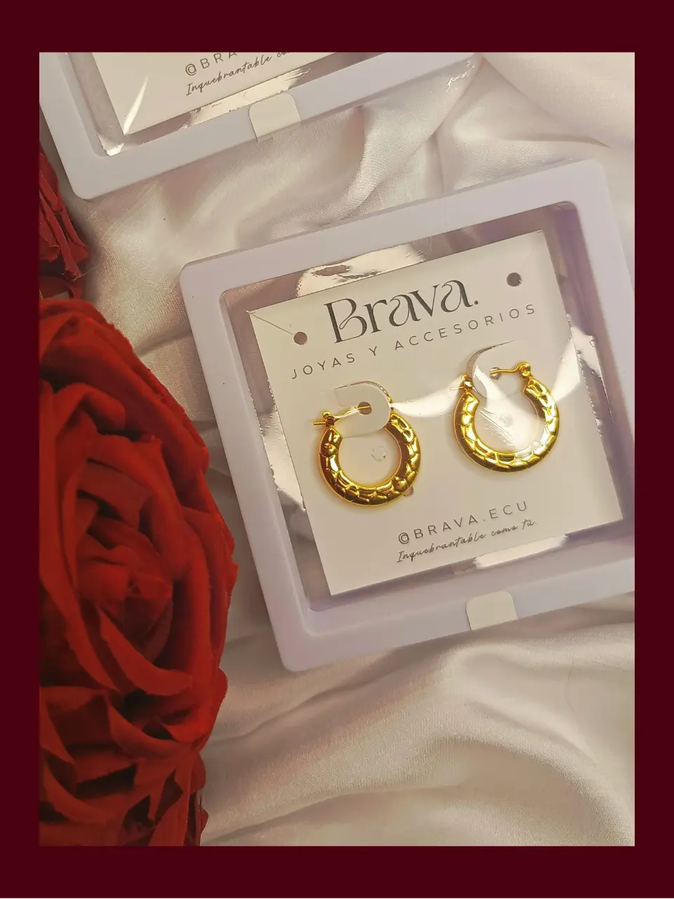 Aretes av04