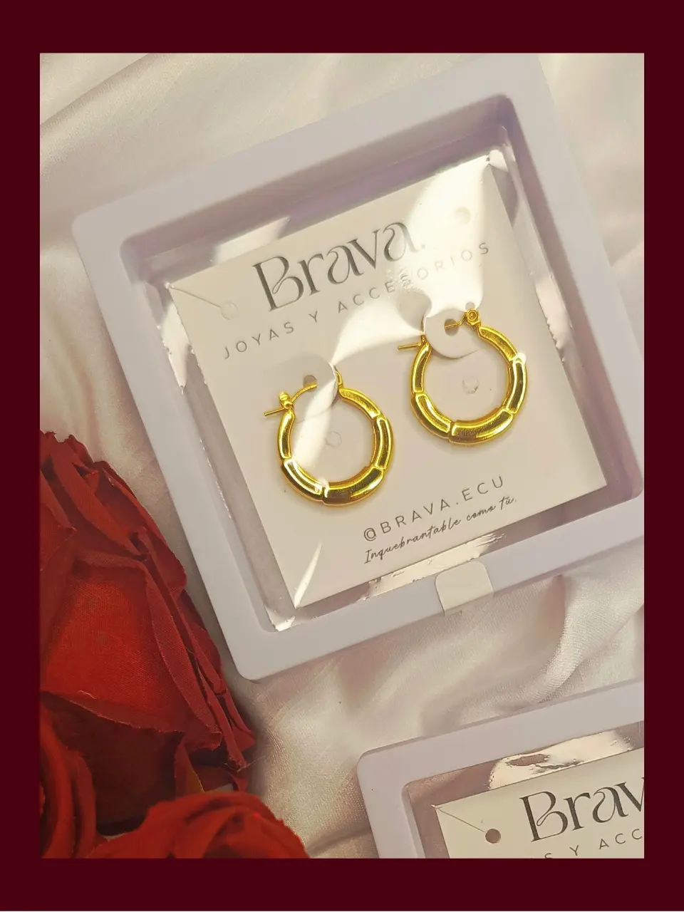 Aretes av13
