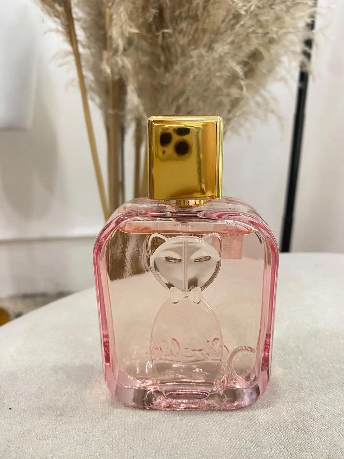 perfume cireline gato