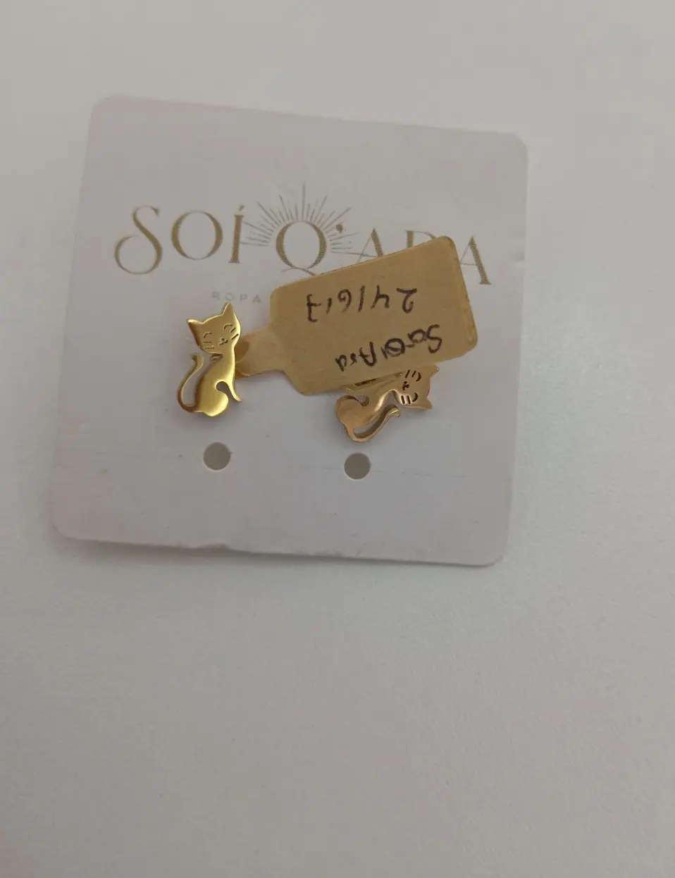Aretes de gatos normales
