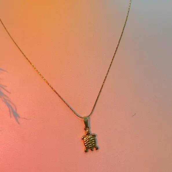 Cadena mini tortuga