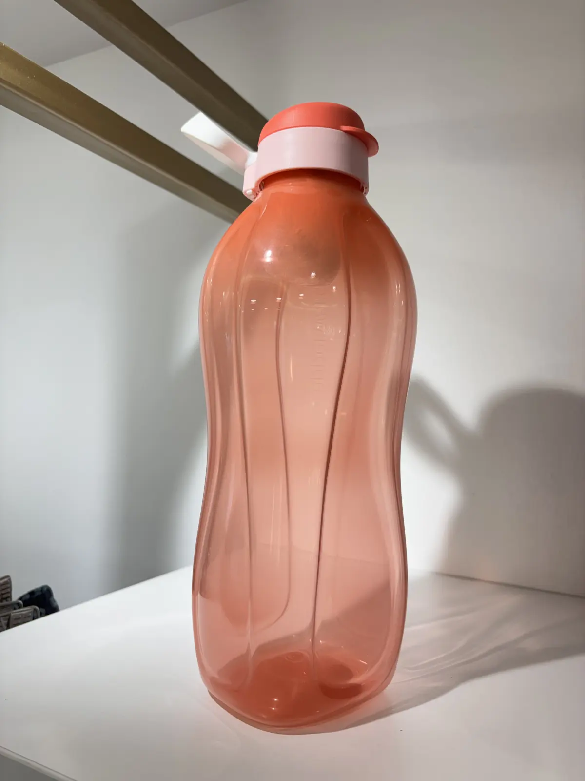 Eco Coral 2 L